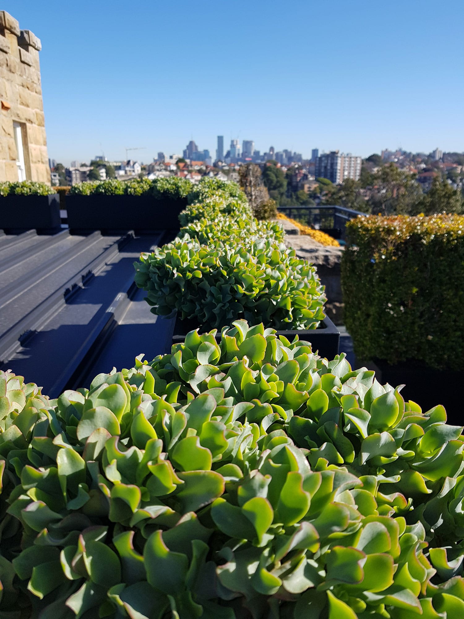 Mosman Project interior